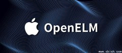 苹果公布装置上执行的AI模型OpenELM