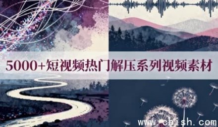 5000+热门解压短视频素材合集