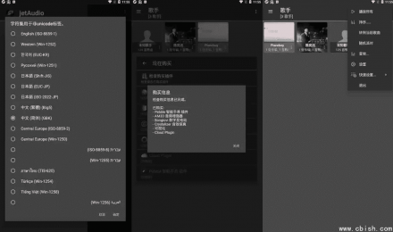 jetAudio v12.3.1 高级多语言版 —— 顶级音乐播放器
