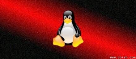 Linux内核首次出现Rust漏洞，可能导致系统崩溃