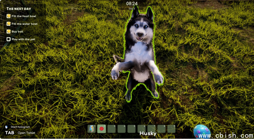 《Animal Shelter 2 动物收容所2》v1.1.1 集成全DLC 绿色中文版