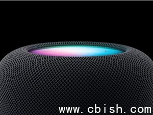 苹果AI遇算力瓶颈，或转向谷歌云支撑Siri升级