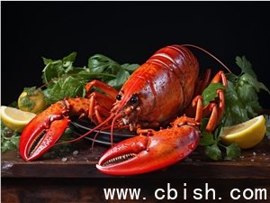 OpenClaw官方社交账号上线，国内主流大模型厂商纷纷互动