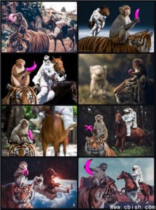 Midjourney V8开启测试：生成速度提升5倍，原生支持2K渲染