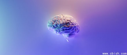 11个主流大型语言模型在人际问题上都比人类更谄媚