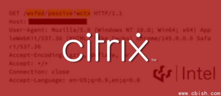 Citrix NetScaler设备出现重大漏洞，已发现积极探测活动