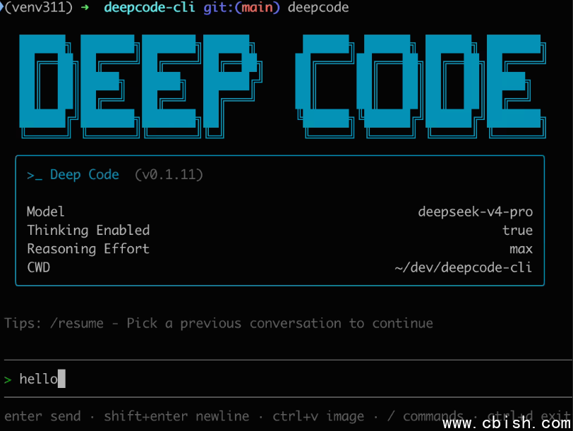 Deep Code工具界面