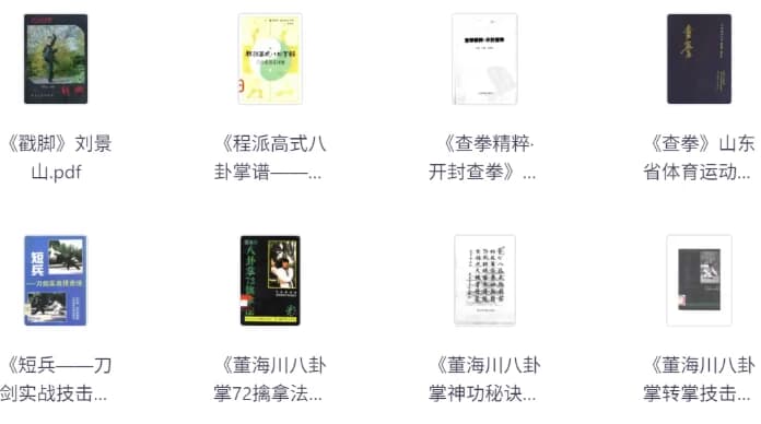 图片[1]-武术类书籍合集-酷软