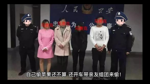 山东女子带亲友开车10公里偷苹果