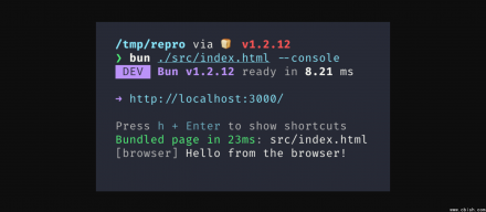 JavaScript执行环境Bun推出主控台串流机制，改进全端除错与AI整合流程