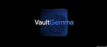 谷歌发布VaultGemma，全球最大差分隐私语言模型开放下载