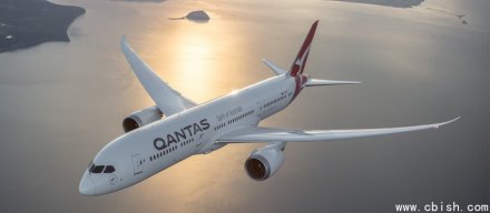 黑客开始公布澳洲航空乘客资料