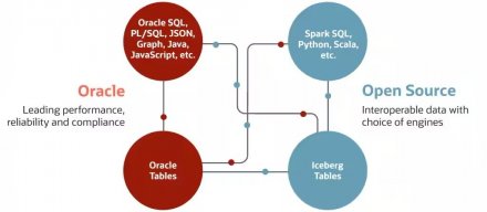 Oracle新湖仓平台上线，借助Apache Iceberg打通OCI与三大公有云