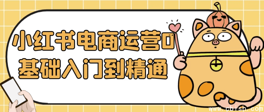小红书电商运营0基础入门到精通