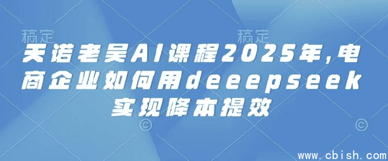 2025天诺老吴AI课程,电商企业如何用deeepseek实现降本提效