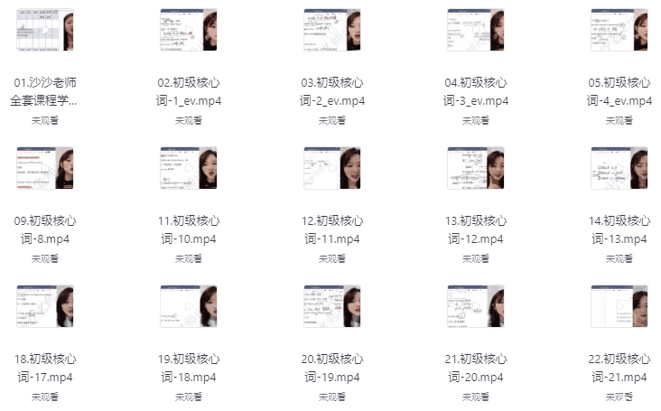 沙沙老师 单词+语法 初级二合一(341节)