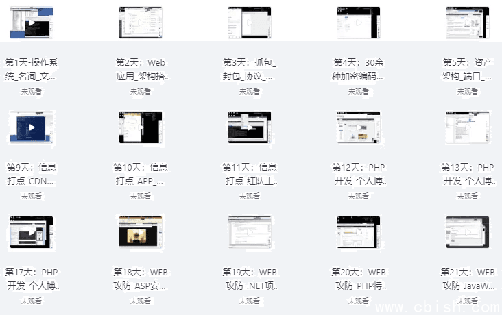 网络安全工程师(Web攻防 漏洞 提权 免杀等)