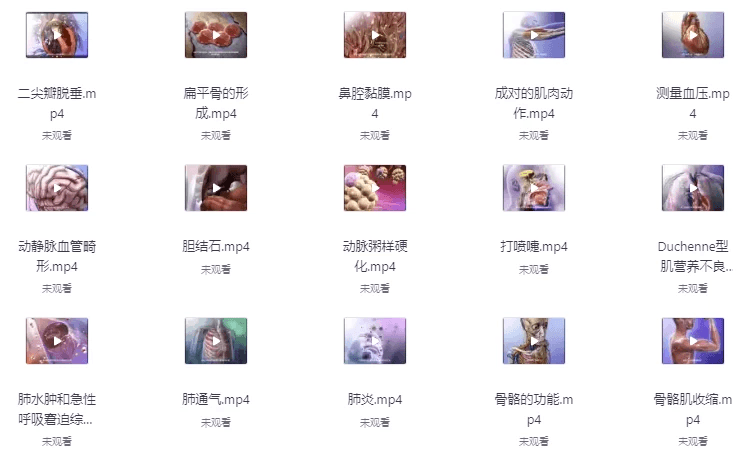 《人体器官医学解说》视频字幕版 科普人体