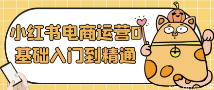 小红书电商运营从零基础到精通全攻略
