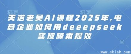 2025天诺老吴AI课程：电商企业如何借助DeepSeek实现降本增效