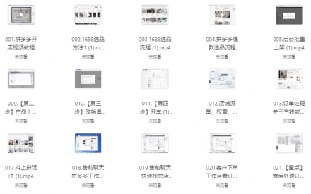拼多多店铺从0到1精细化运营：零基础起步至爆款出单全攻略