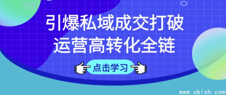 引爆私域流量，实现高效转化：全链路成交运营新策略