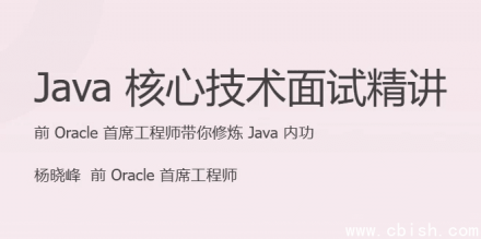 Java核心技术面试精讲（已完结）
