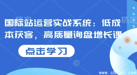 国际站运营实战系统：实现低成本获客与高质量询盘增长的策略课程
