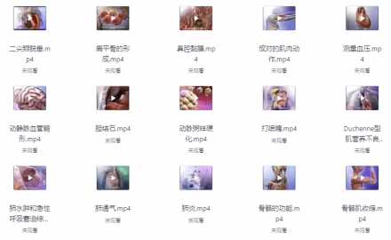 《人体器官医学解析》视频字幕版 科普人体奥秘