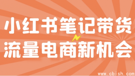 小红书笔记种草带货：流量变现与电商新机遇