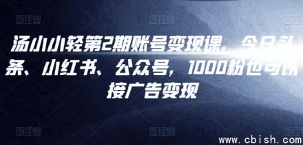 汤小小账号变现课程 第2期