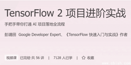 TensorFlow 2 实战进阶项目指南
