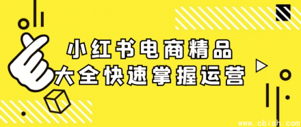 小红书电商运营精华指南：快速掌握精品玩法
