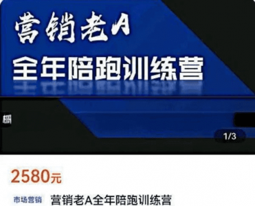 营销老A实战陪跑训练营：少讲理论，专注实战；淡化概念，直击本质