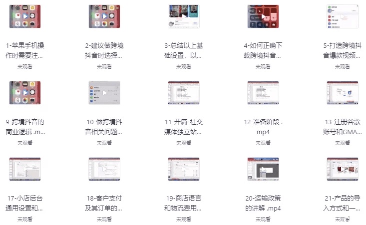 TikTok+独立站0基础入门到精通,跨境电商独立站新手必学课