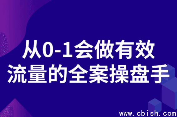 从0-1会做有效流量的全案操盘手