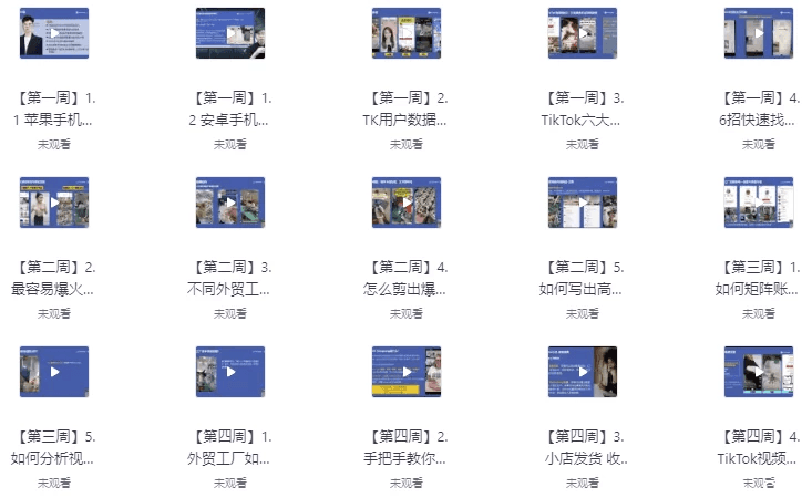 TikTok外贸工厂陪跑训练营