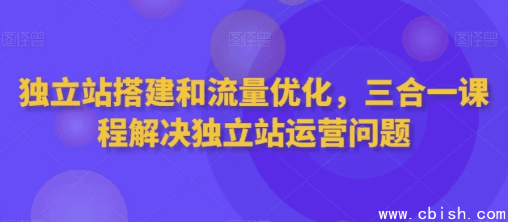 独立站搭建和流量优化三合一课程