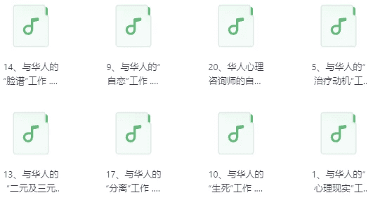 中国人的心理治疗音频20讲