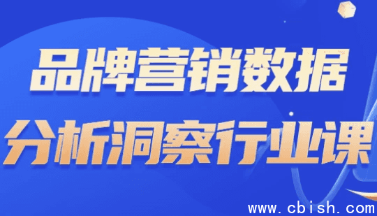 品牌营销数据分析洞察行业课