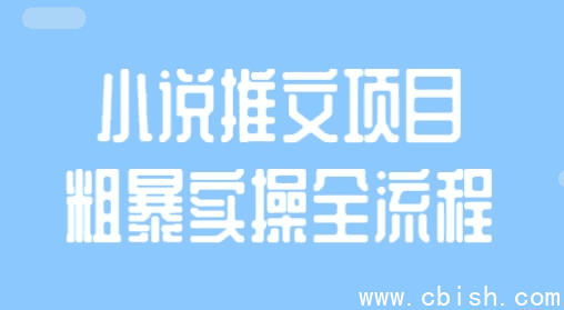 小说推文项目粗暴实操全流程