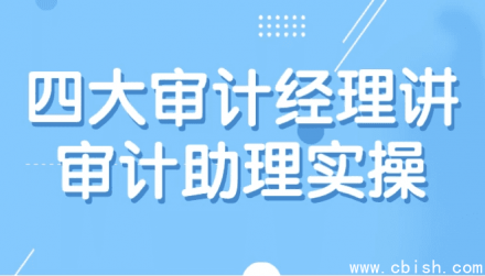 四大审计经理详解审计助理实操指南