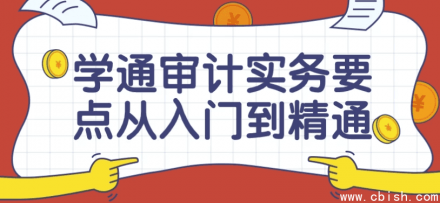 《审计实务要点：从入门到精通》课程