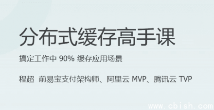 分布式缓存高手课