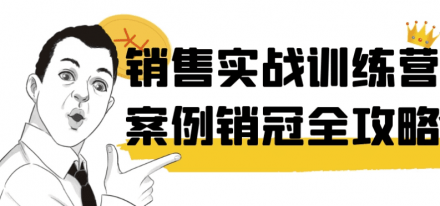 销售实战训练营：销冠成功全攻略