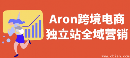 Aron跨境电商独立站全域营销解决方案