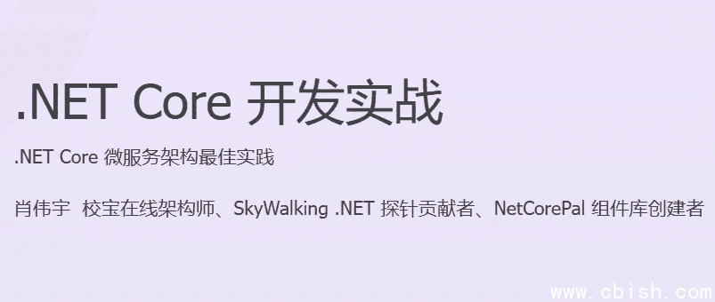 NET Core 开发实战