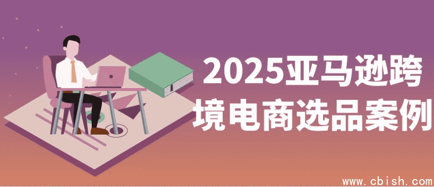 2025亚马逊跨境电商选品案例