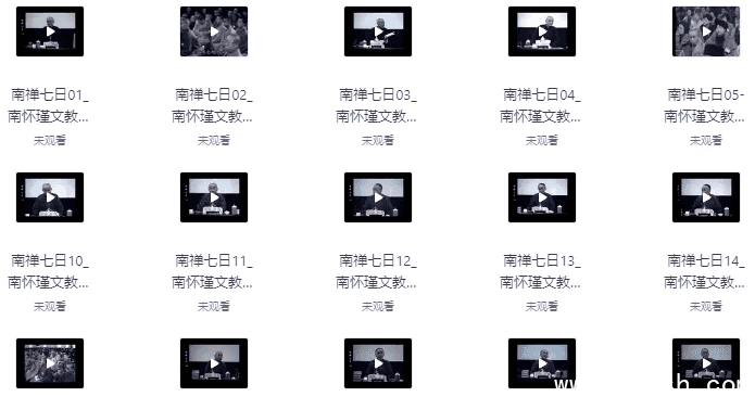 南禅七日(视频讲座+音频+文档 21集)