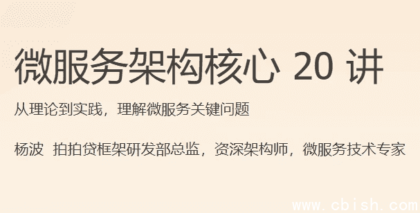 微服务架构核心 20 讲